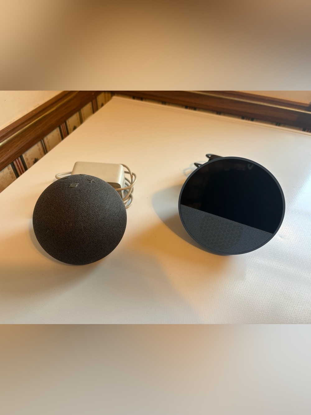 Amazon Echo Spot and Echo Dot